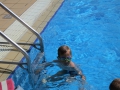 IMG_2724 (Large)