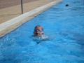 IMG_2729 (Large)