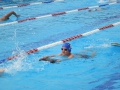 IMG_2754 (Large)