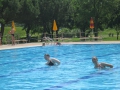 IMG_2789 (Large)