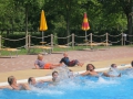IMG_2807 (Large)