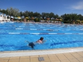 IMG_2824 (Large)